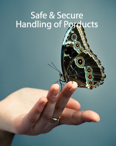 Safe & Secure Handling Of Product
